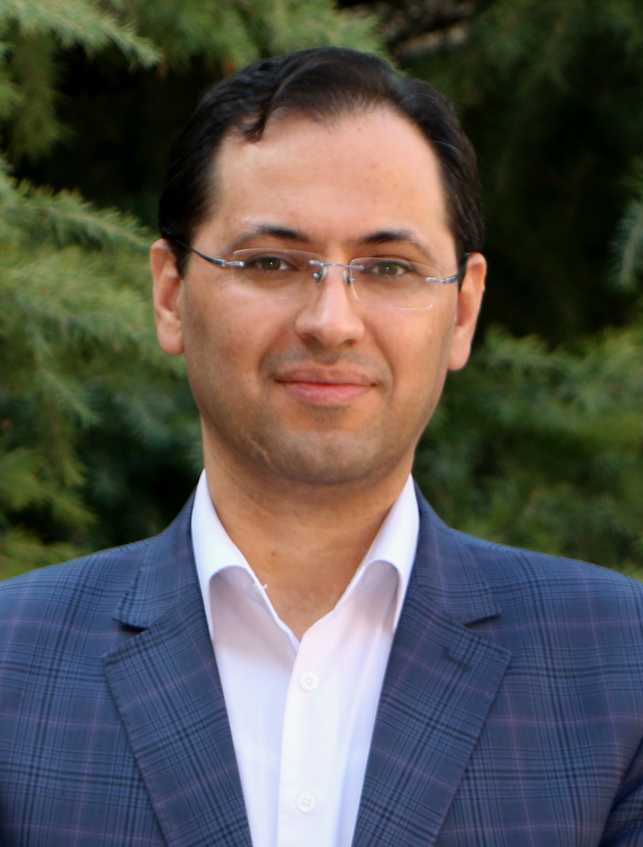 Pedram Majid