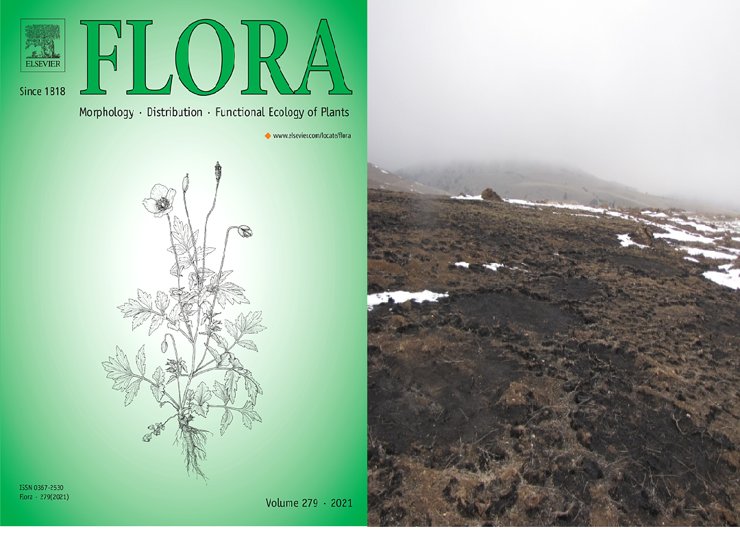 انتخاب مقاله برتر دانشجوی گروه مرتعداری در مجله Flora